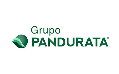 ouro-pandurata
