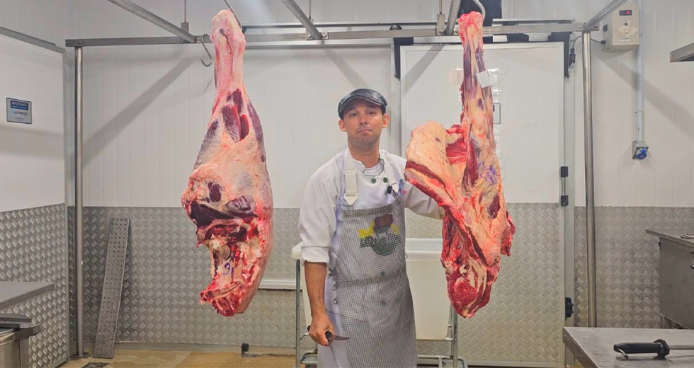 Vídeo 1 – Dianteiro (Parte 1)