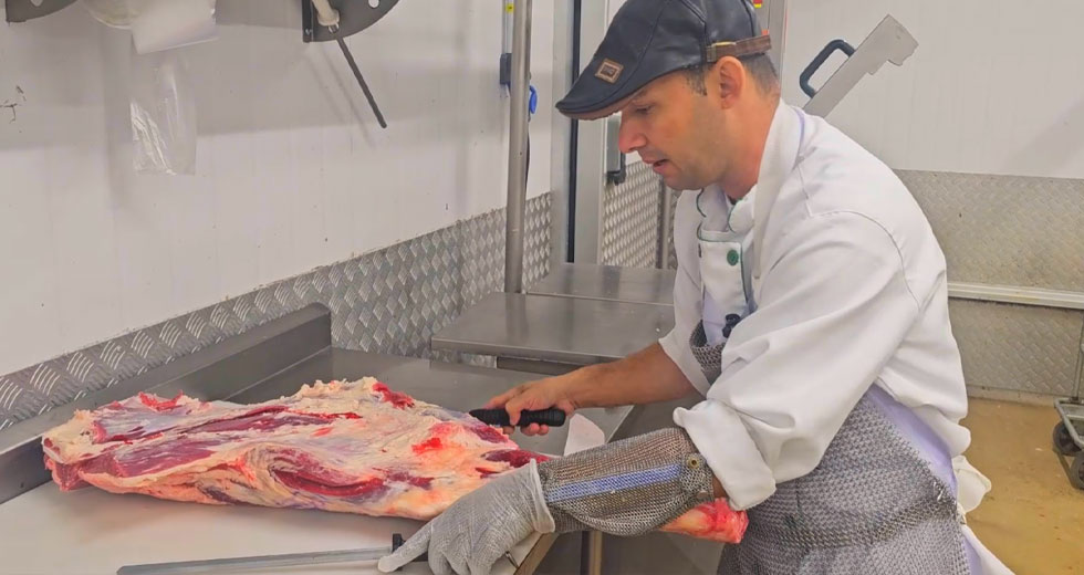 Vídeo 2 – Dianteiro (Parte 2)