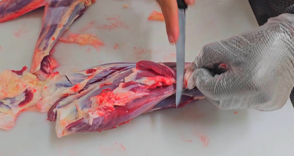 Vídeo 4 – Limpeza do Músculo