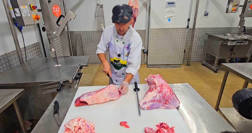 Vídeo 6 – Limpeza da Posta Vermelha e Posta Branca